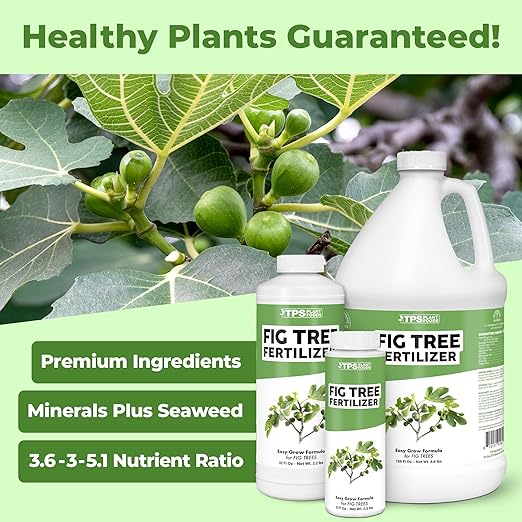 Fig Tree Fertilizer for Fig Trees, Great for Other Ficus Tree Varieties, Liquid Fertilizer by TPS Plant Foods, 8 oz (250mL)