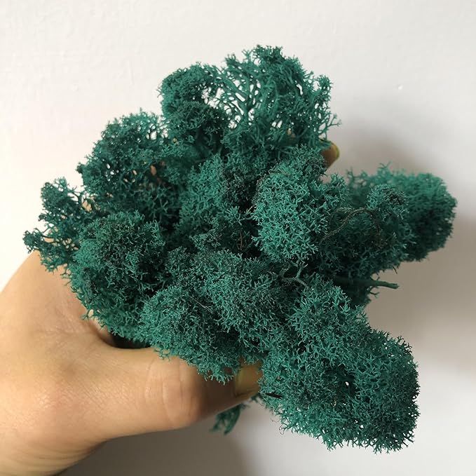 prefleur Preserved Reindeer Moss Natural Green DIY Kit Gardenning Art Wall Decor Florist Decor Easter Table Decor Wedding