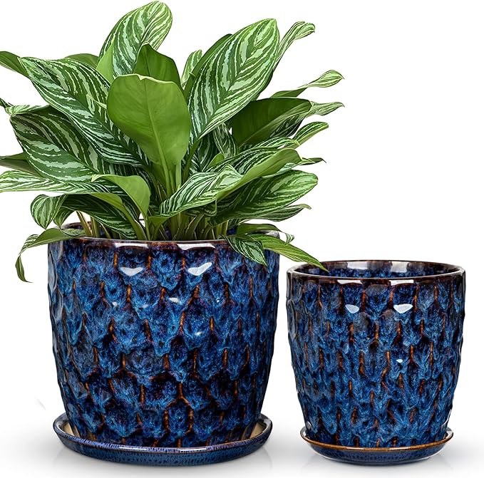 Hollyone Blue Ceramic Pot for Plants Flowers Ceramic Planter with Drainage Hole and Saucers 8 + 6.5 Inch Set of 2 Glaze Round Flower Plant Pot for Indoor Outdoor Large Succulent Orchid Flower Pot