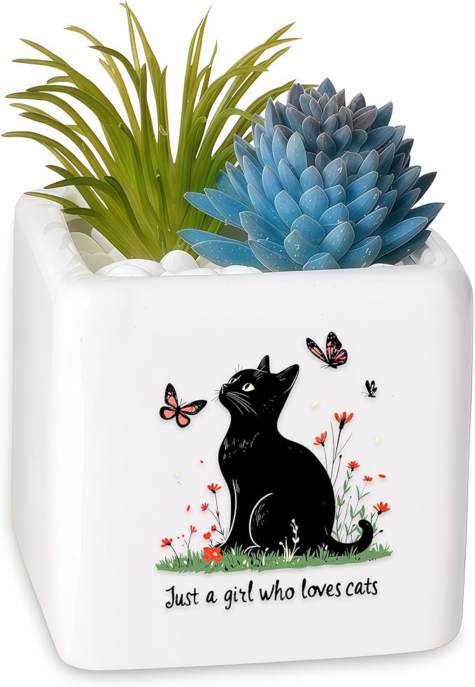 BJDAMAI Black Cat Succulent Planter Flower Plant Pot Small, Gifts for Women Teens Girls Kids, Cat Lovers Themed Stuff Accessories Things Decor Merch, Home Office Table Desk Decoration!