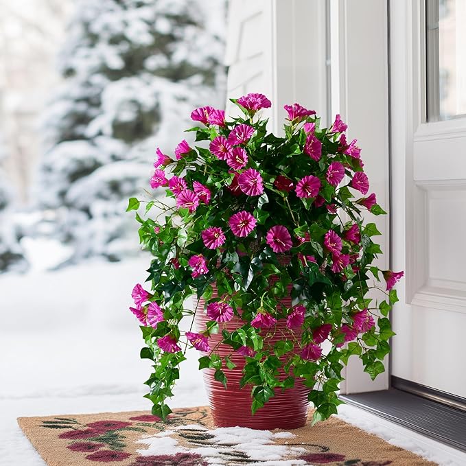 Morning Glory Artificial Hanging Flowers for Outdoors 3 Pcs Fake Petunias Flower Faux Silk Long Trailing Vines Realistic Flower for Front Door Porch Patio Balcony Garden Yard Decor (3 Pcs Fuchsia)