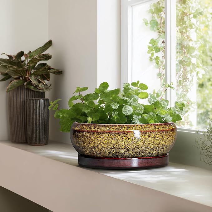 EPFamily Succulent Pots Large - 13 Inch Ceramic Bonsai Pot with Drainage Hole and Tray, Round Succulent Planters, Shallow Plant Pots Indoor, Bowl Planter Outdoor, Garden Decor, Gardening Gift, Yellow