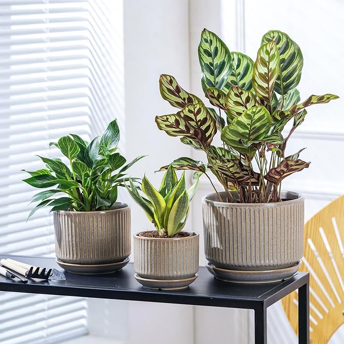 Speckle Gray Ceramic Plant Pots Set of 3, 4.3+5.5+6.7 Inch Indoor Flower Pot with Drainage Hole & Saucer & Hole Pads, Striped Decorative Planter Set for Indoor Plants, Gardening Pots & Accessories