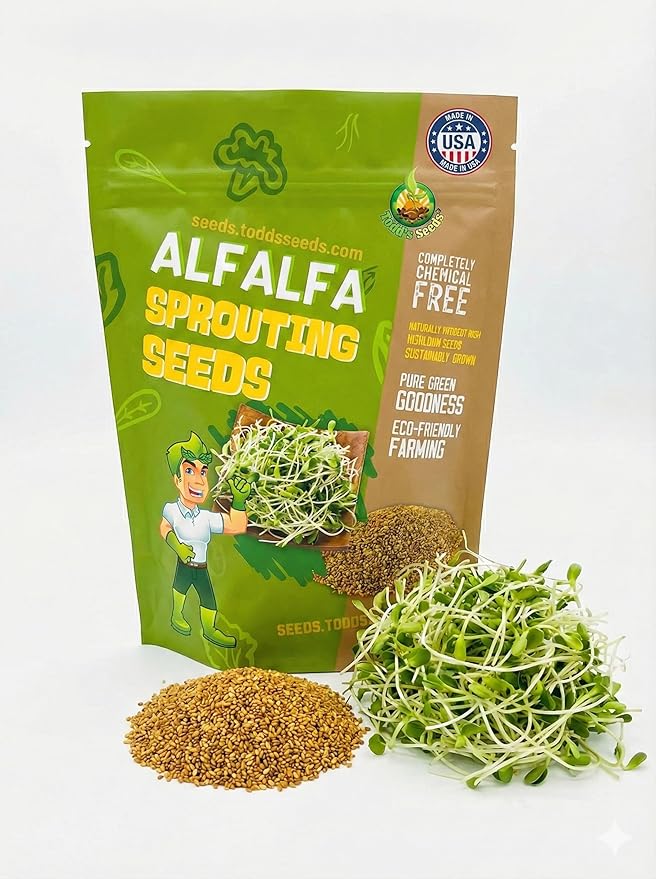 Todd’s Seeds - Alfalfa Sprouting Seeds - Easy to Grow - Fast Growing Seeds with High Sprout Germination (One Pound)