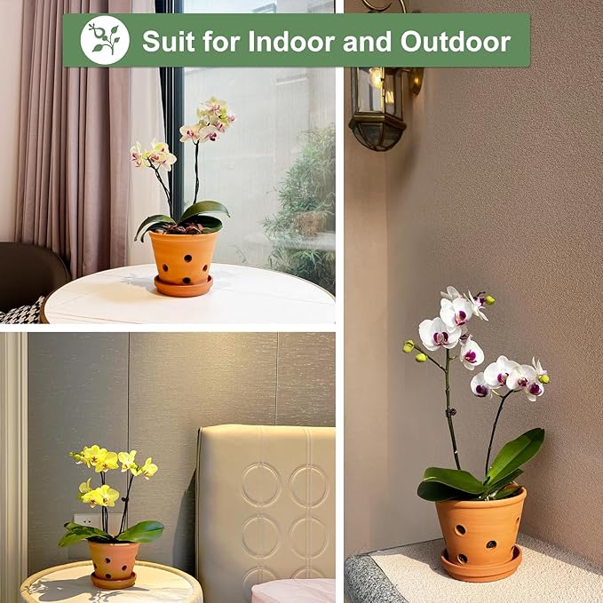 6 Inch Terracotta Orchid Pots with Holes, Saucers - 3 Pack Clay Orchid Planter Pots for Repotting, Small Terra Cotta Pot, Indoor & Outdoor, Promotes Air Circulation