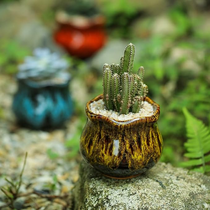 Fulloog Cute Ceramic Succulent Planters, Garden Pots with Drainage and Attached Saucer, Set of 6 - Plants Not Included