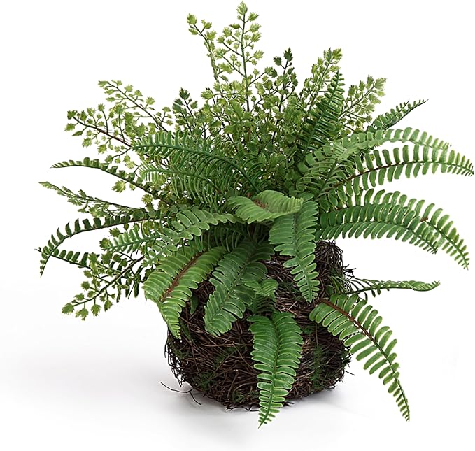Blanca Rosana Artificial Boston Fern Plants Bushes Faux Plants Shrubs Greenery for House, Office, Garden, Inddor and Outdoor Decor (Standard)