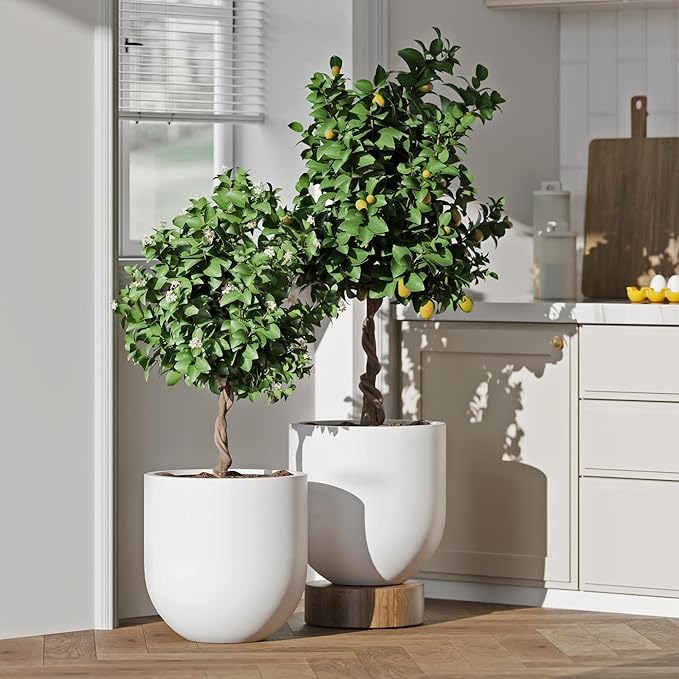 DTY Signature Mount Antero 15.7''D x 15.7''H Modern Indoor Outdoor Fiberstone Bullet Shaped Planter, Durable Round Garden Pot, Weather Resistant, Drainage Hole & Rubber Plug - Medium, White