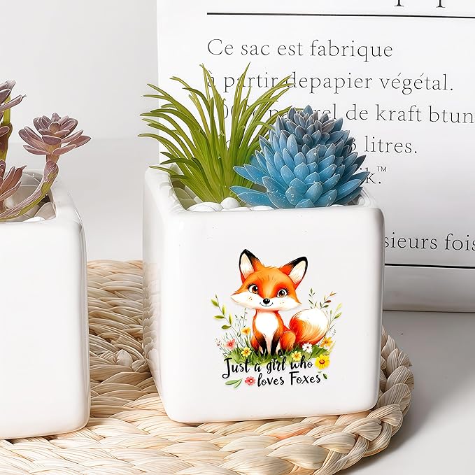 BJDAMAI Fox Succulent Planter Flower Plant Pot Small, Gifts for Women Teens Girls Kids, Fox Lovers Themed Stuff Accessories Things Decor Merch, Home Office Table Desk Decoration!