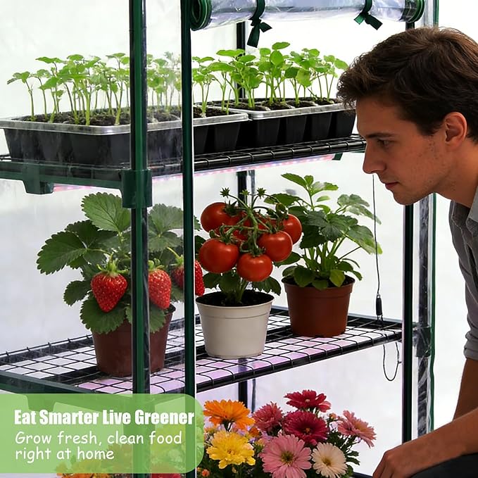 Mini Greenhouse with Grow Light , 4 Tier 27.2" L×19.9" W×61.8" H Portable Greenhouse with Zippered PVC Cover for Seed Starting Trays , Dimmable 2ft 60W Plant Light for Indoor Plant with Timer