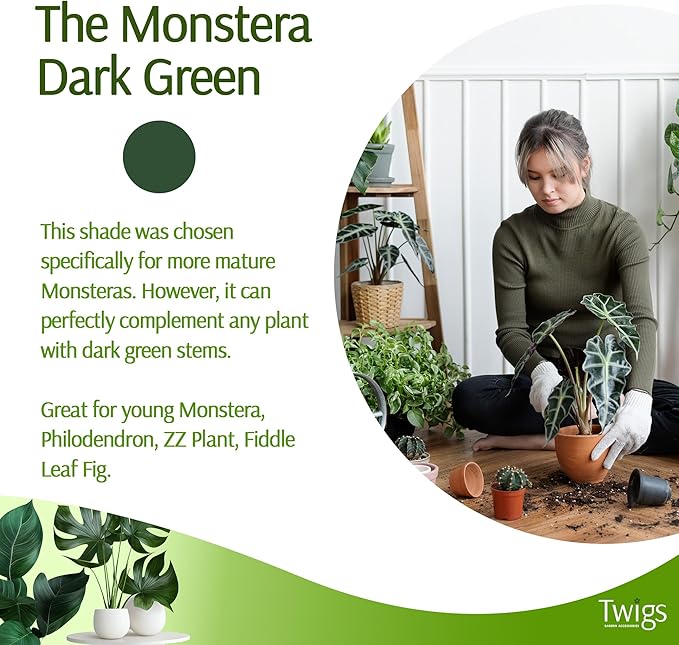 Twigs GA - Mini Twigs Plant Support Stakes for Small Plants, Indoor & Outdoor Use, Gardening Supplies, Garden Accessories, Trellis & Ring Alternative - Monstera (Dark Green), 10 Pack, 12" L