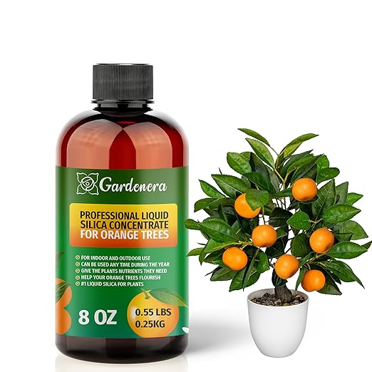 𝐁𝐄𝐒𝐓𝐒𝐄𝐋𝐋𝐄𝐑 Liquid Silica Plant Supplement - 8oz - Orange Trees Liquid Silica Boost Fertilizer - Stronger Stems & Healthy Leaves for Indoor & Outdoor Oranges (Makes 45 Gallons)