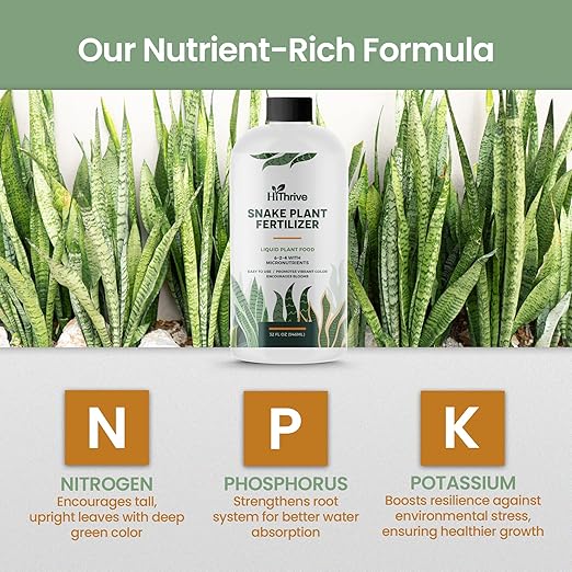 32oz Snake Plant Fertilizer for Snake Plant Live - Makes 192 Gallons of Fertilizer for Indoor Plants, Ideal for Healthy Growth, Strong Leaves, and Vibrant Color - Rich in Macro & Micronutrients