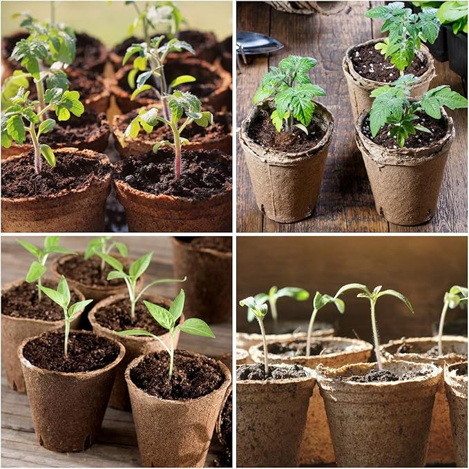 homenote Peat Pots, 60 Pcs 3.15 Inch Seed Starting Pots with Drainage Holes Round Nursery Plants Pots with Bonus 20 Plant Lab