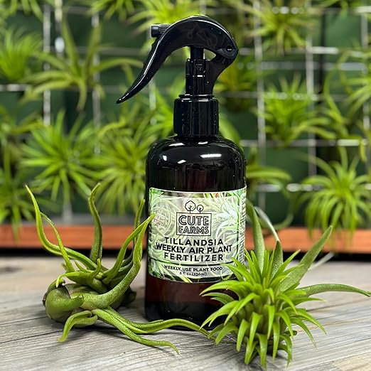 Cute Farms Tillandsia Air Plant Fertilizer | Gentle Weekly Use Formula Plant Food | Formulated Nutrients for Air Plants (8 oz. Spray Bottle)
