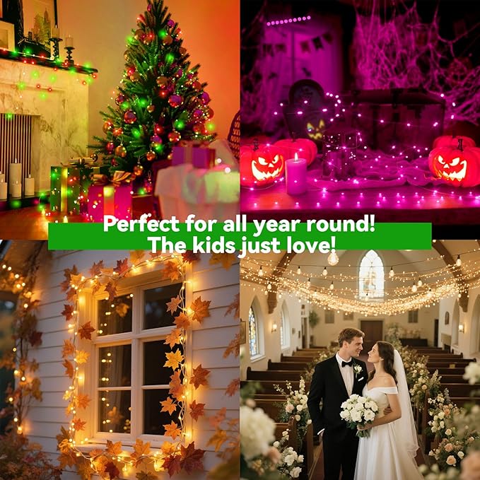 LitHome 300LED 99FT Christmas Led Fairy Lights Plug in, Color Changing Christmas Fairy Lights with Remote, 9 Modes Led String Lights Indoor Dimmable, Fairy String Lights for Xmas Home Party Decor