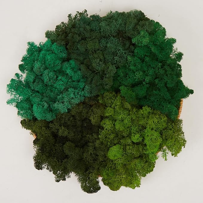 prefleur Preserved Reindeer Moss Natural Green DIY Kit Gardenning Art Wall Decor Florist Decor Easter Table Decor Wedding