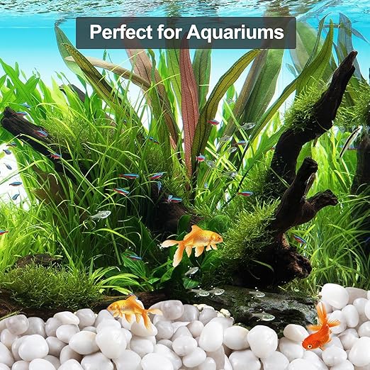 Lechloris 20Ib White River Rocks for Landscaping- High Polished Pebbles for Plants-Garden Decorative Stones-1-2 Large Plant Rocks,Ideal for Aquarium, Home Decor