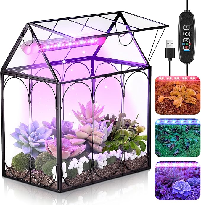 Meonum Tiny Glass Terrarium Kit with Grow Light, 7.1 x 4.7 x 8.7 Venus Fly Trap Terrarium with Absorbent Mat, Timer&3 Light Modes for Succulent Live Air Plants Indoor Home Office Decor (USB Powered)
