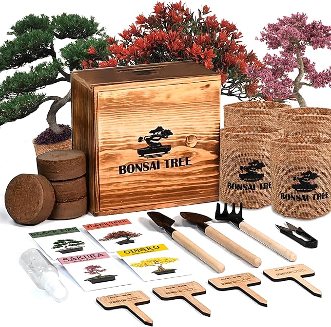Sproutix Bonsai Garden Starter Kit, 4 Seeds Growing into Sakura, Ginkgo, Black Pine, Red Flame, Including Complete Gardening Tools & A Wooden Box with Cover, Christmas Gifts for Men Women Beginners