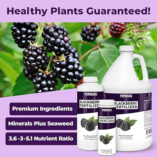 BlackBerry Fertilizer for BlackBerry Plants, Supports Healthy Growth and Plump Berries in BlackBerry Plants, Liquid Fertilizer by TPS Plant Foods, 1 Gallon (128 oz)