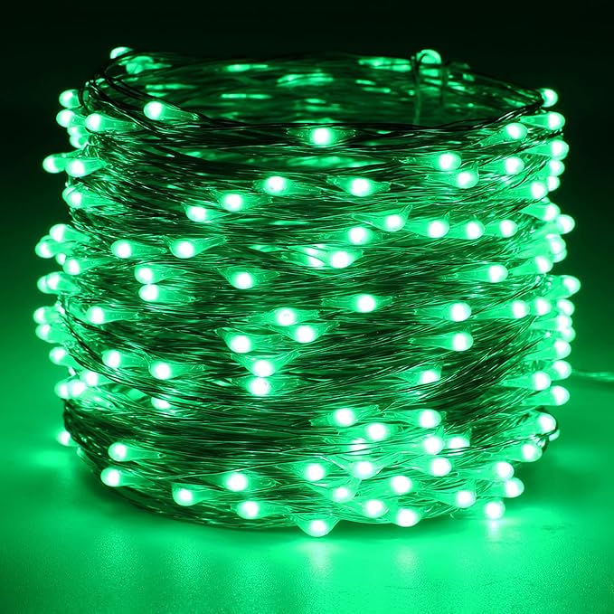 RUICHEN Silver Wire 66 Ft 200 LED USB Fairy String Lights with On/Off Switch (Green)