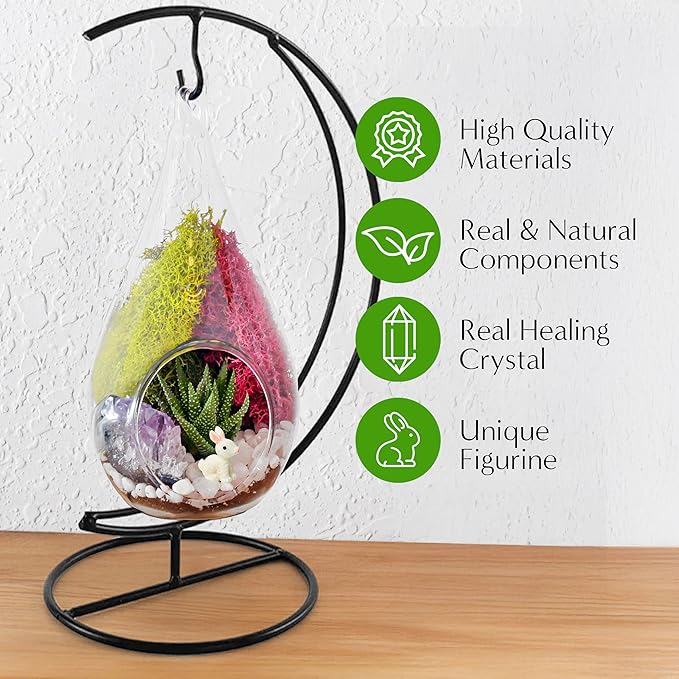 Creations by Nathalie 7" DIY Teardrop Terrarium Kit with Live Plants - Hanging Glass Planter with Stand for Adults & Kids - Build a Mini Ecosystem with Moss, Crystals, Tools - Made in The USA