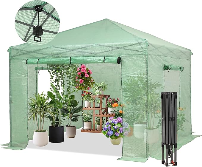 GDY 8X8FT Instant Pop-up Greenhouse, Walk-in Plant Gardening Green House with PE Cover/Roll-Up Zipper Doors/Side Windows for Indoor, Backyard and Outside, Green/Clear.