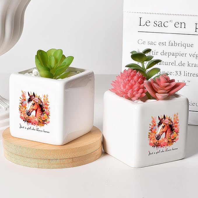 BJDAMAI Horse Succulent Planter Flower Plant Pot Small, Gifts for Women Teens Girls Kids, Horse Lovers Themed Stuff Accessories Things Decor Merch, Home Office Table Desk Decoration!