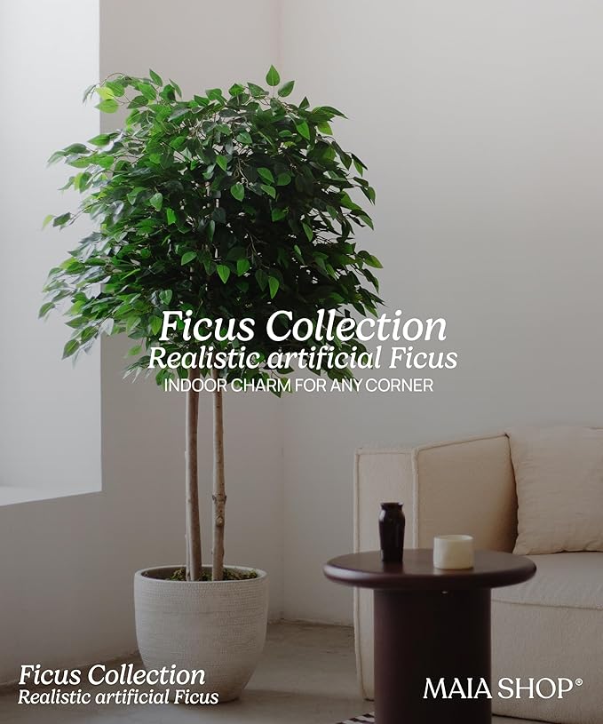 Maia Shop Decorative Artificial Plants - Artificial Bamboo Tree 6.5ft Natural Trunks, Big Artificial Plant, Home Decor, Artificial Tree (Ficus, 6ft 5in)
