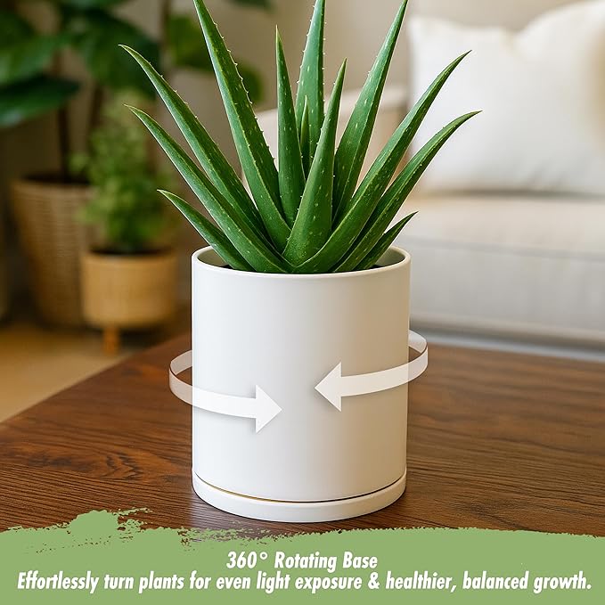 D'vine Dev Double-Layer Planter Set – Rotating Plastic Cachepot with Clear Inner Liner for Root Health, Perfect for Indoor Plants, 6.5", Oatmeal, 73-U-D-2