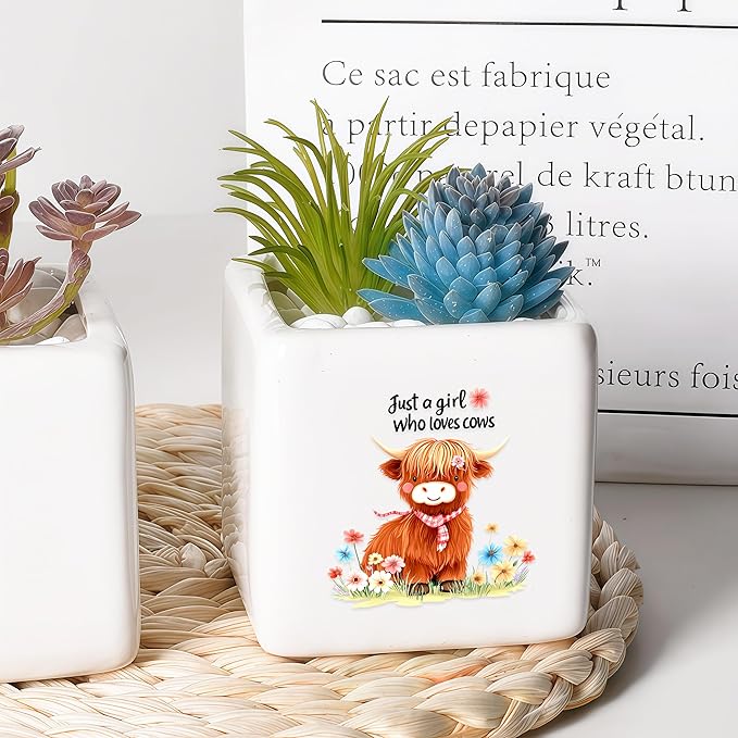 BJDAMAI Highland Cow Succulent Planter Flower Plant Pot Small, Gifts for Women Teens Girls Kids, Cow Lovers Themed Stuff Accessories Things Decor Merch, Home Office Table Desk Decoration!