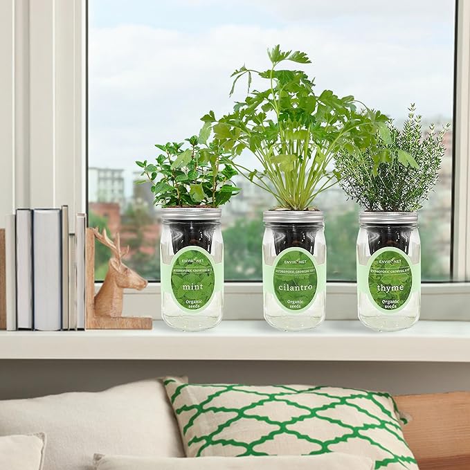 Environet Hydroponic Growing Kit Set, Self-Watering Mason Jar Herb Garden Starter Kit Indoor, Window Herb Garden, Grow Your Own Herbs from Organic Seeds (Mint, Cilantro and Thyme)