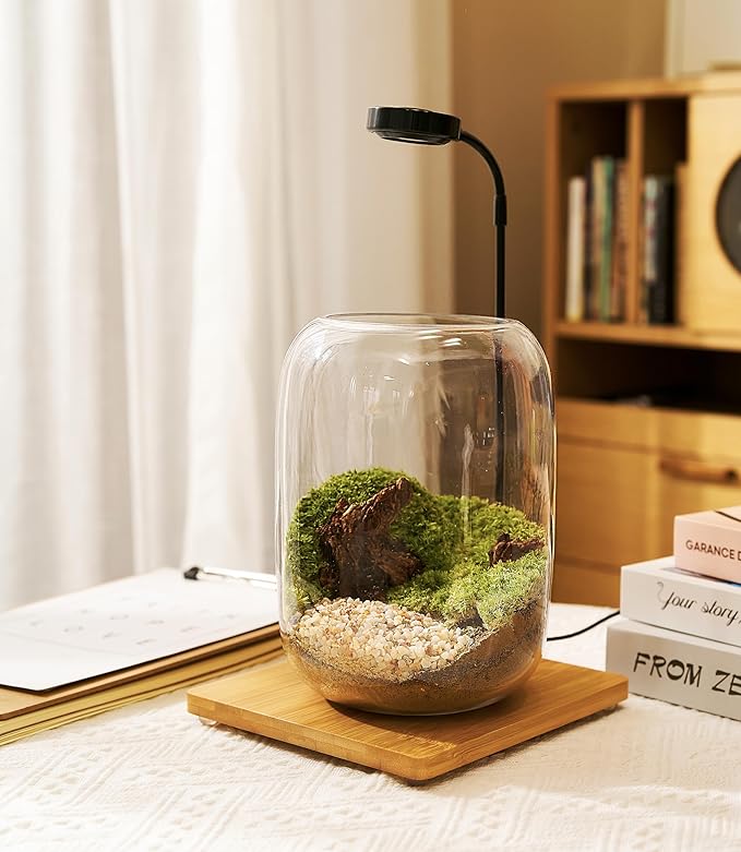 Terrarium Kit with Grow Light – 24-Piece DIY Glass Terrarium Set with Tools, Moss, Driftwood, Soil & Pebbles – Mini Gardening Kit for Air Plants, Succulents & Indoor Desk Decoration Gift