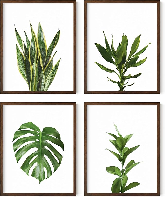 HAUS AND HUES Plant Photo Set of 4-16x20 Framed Walnut