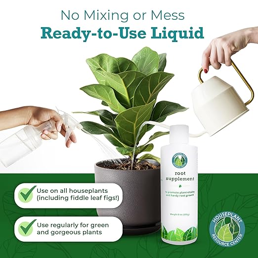 Fiddle Leaf Fig Essentials Bundle