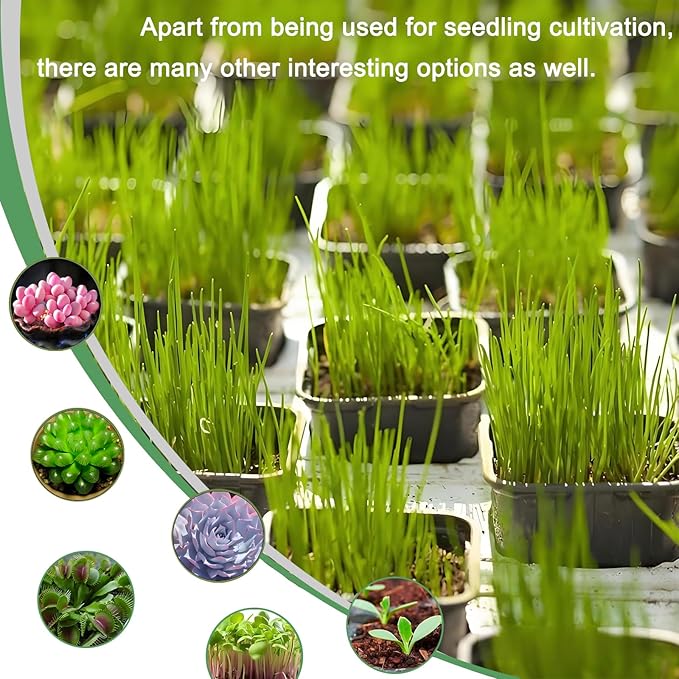 Gyfofix 2 Inch Square Plant Nursery Pots (Black+Clear),50Pcs Seedling Planter Seed Starter Pots,Sturdy Small Plastic Pots with Drainage Holes