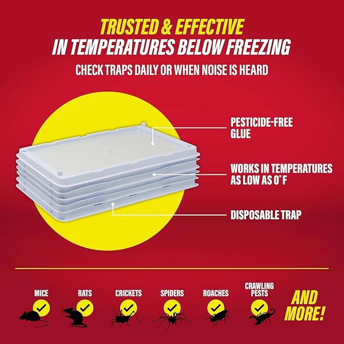 Catchmaster Freeze Resistant Glue Traps 6PK Mouse Traps Indoor for Home, Pest Control Tray for Rodents, Bugs & Crickets, Cold Weather Glue Board for House, Shed & Garage