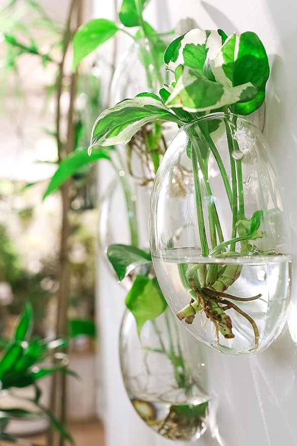 Propagation Station, Plants Terrarium, Plants Lover Gifts for Women,Plant Cutting Holder Home décor,Gifts for Women,House Warming New Home-4 Moon Shape
