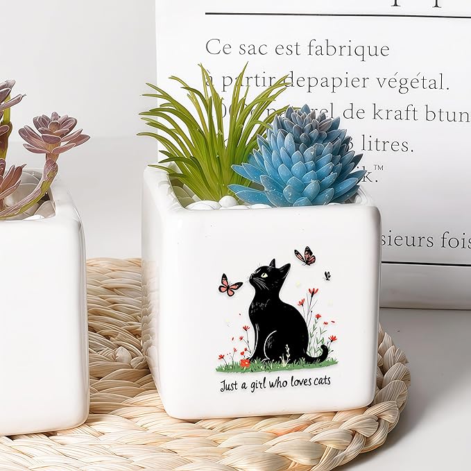 BJDAMAI Black Cat Succulent Planter Flower Plant Pot Small, Gifts for Women Teens Girls Kids, Cat Lovers Themed Stuff Accessories Things Decor Merch, Home Office Table Desk Decoration!