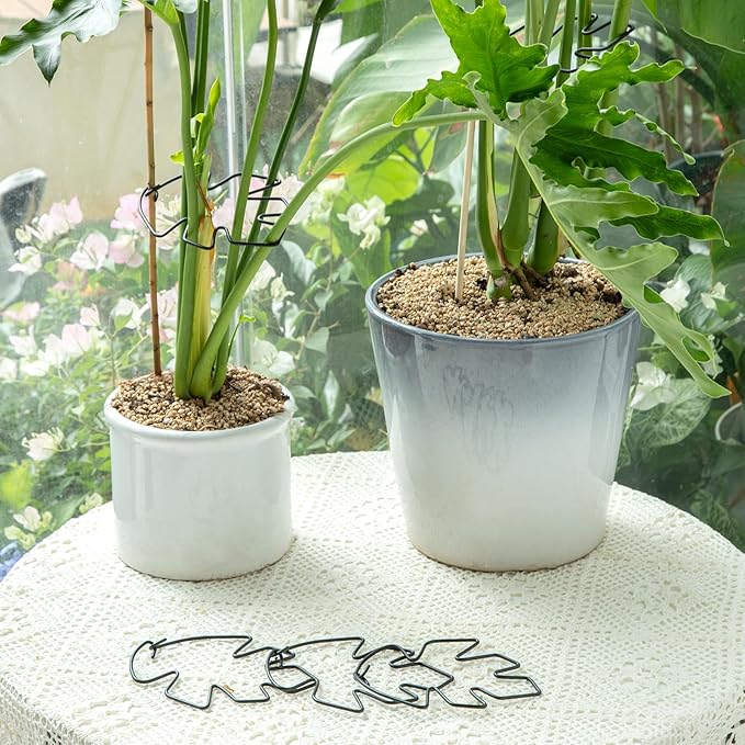 Monstera Plant Stem Support Set of 5 - Durable Stabilizers for Monstera and Climbing Plants - Ideal for Plant Lovers and Garden Care