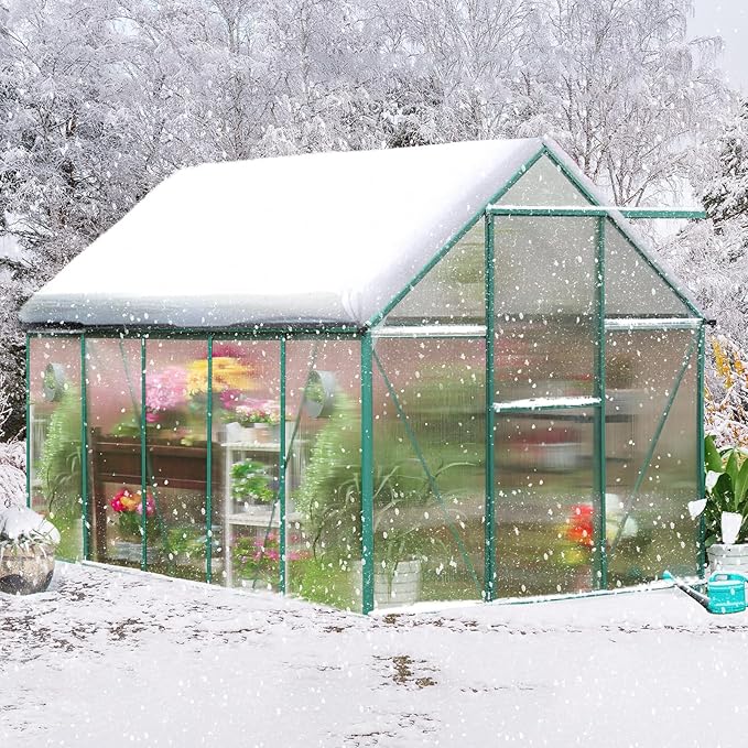 10x6 FT Polycarbonate Greenhouse for Outdoor, Heavy Duty Aluminum Frame Green House Kit with Double Vent Window Lockable Door, Transparent Panels, Walk in Plant Green Houses for Garden Patio