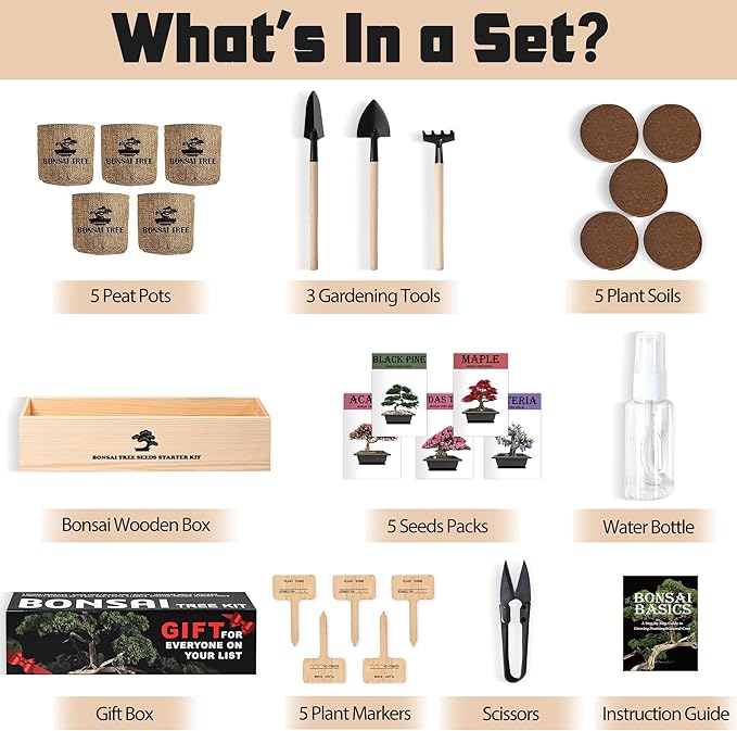 Sproutix Indoor Bonsai Garden Starter Kit, 5 Seeds Growing into Red Maple, Wisteria, Black Pine, Judas Tree, Acacia, Including Complete Gardening Planters & A Wooden Box, Christmas Gifts for Women