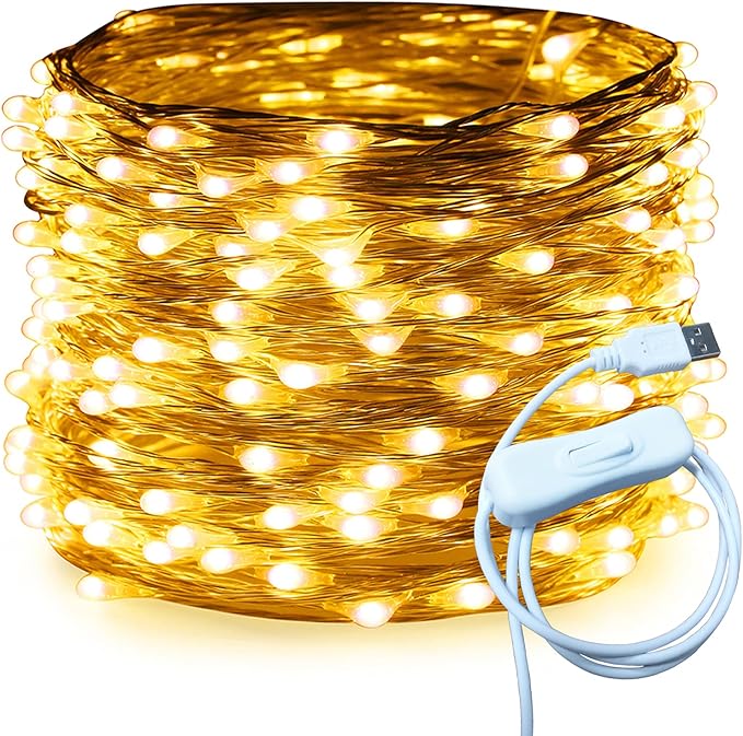 RUICHEN Silver Wire 66 Ft 200 LED USB Fairy String Lights with On/Off Switch (Warm White)