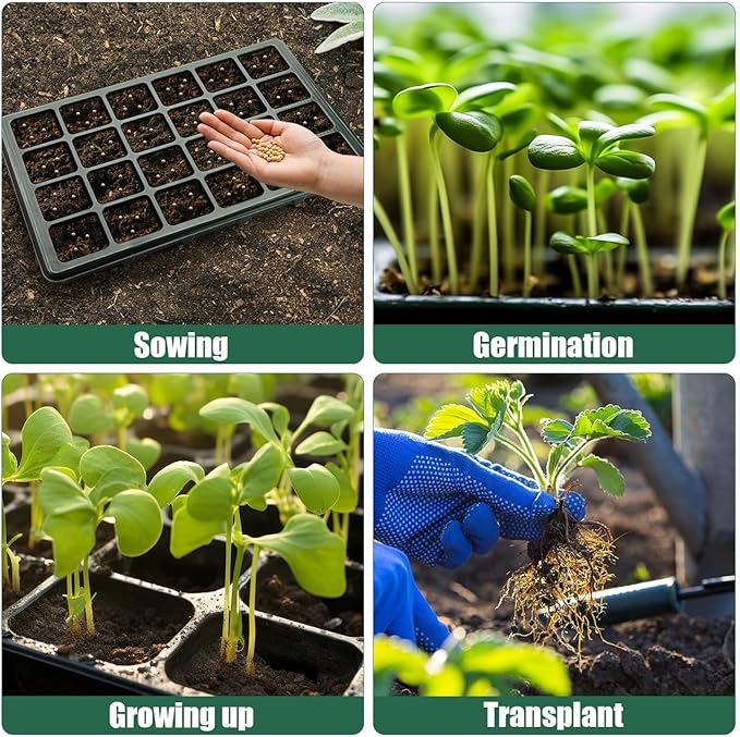 10 Pack XL-Cell Seed Starter Tray, 240 Cells Seedling Trays (2'' Each Cell) with Humidity Dome & Vented Lid, Mini Greenhouse Propagator for Plant Growing, Gardening Supplies