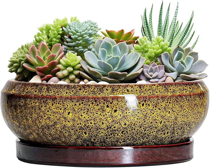 EPFamily Succulent Pots Large - 13 Inch Ceramic Bonsai Pot with Drainage Hole and Tray, Round Succulent Planters, Shallow Plant Pots Indoor, Bowl Planter Outdoor, Garden Decor, Gardening Gift, Yellow