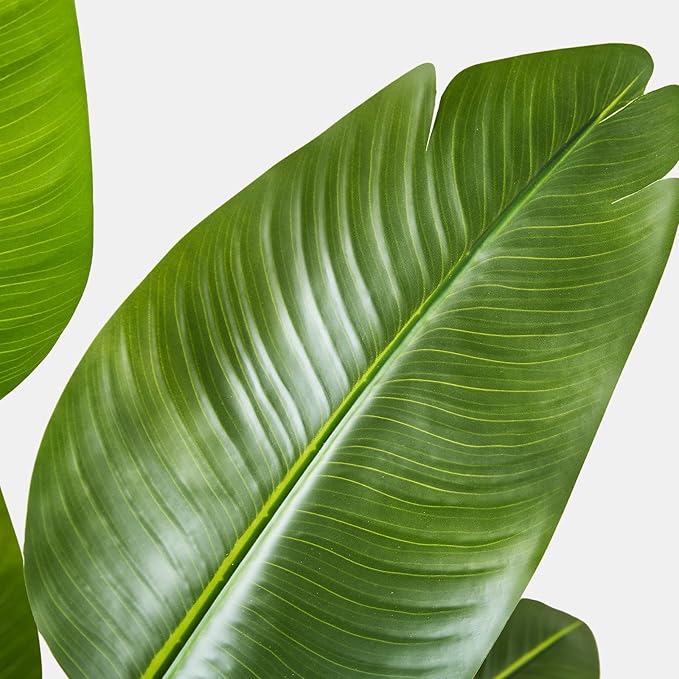 Birds of Paradise Plant Artificial, 5FT Fake Plants Faux Banana Leaf Tree with 10 Banana Leaves, Lifelike Tall Fake Tropical Palm Indoor Silk Floor Plant in Black Pot for House,Office,Room,Home Decor