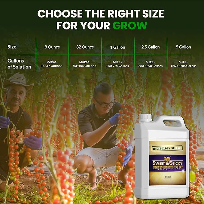 Humboldts Secret Sweet & Sticky Carbohydrate and Saccharide Plant Energy Additive | Indoor and Outdoor Plant Nutrients Enhancer for Growth and Aroma | Boosts Flavor and Development | 32 Ounce