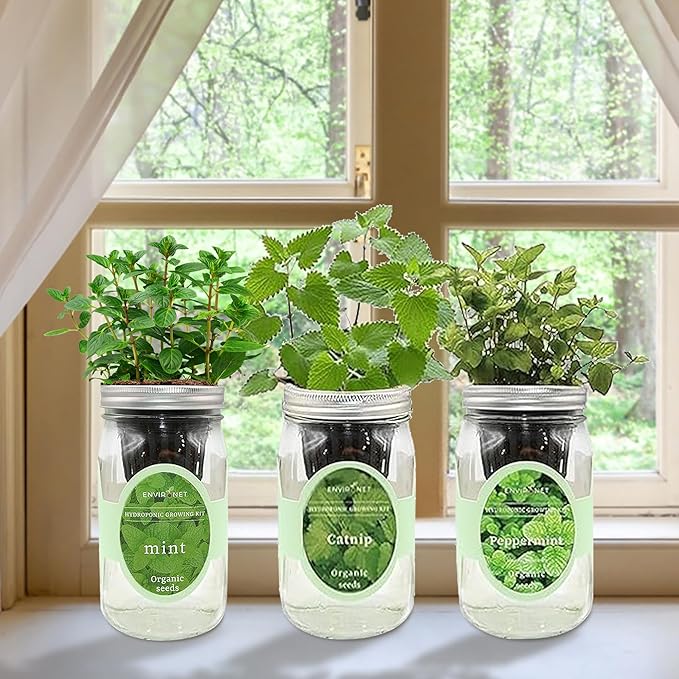 Environet Hydroponic Herb Growing Kit Set, Self-Watering Mason Jar Herb Garden Starter Kit Indoor, New Christmas Gift for Mom (Mint, Peppermint & Catnip)