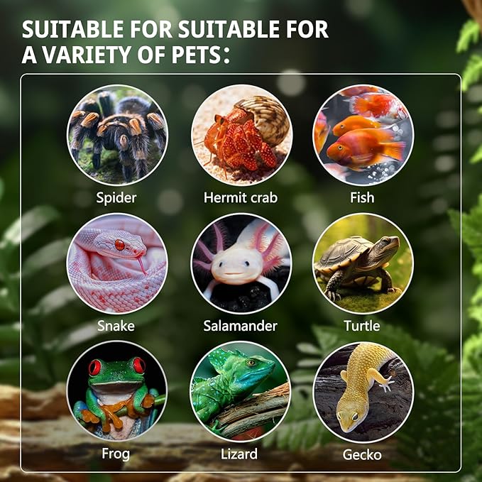 waazoorep 17 Gallon Reptile Glass Tank 20"x14"x14" with Drainage Hole - Pre-Assembled Reptile Cage Enclosure for Turtle,Tortoise,Hermit Crab,Bearded Dragon,Gecko,Lizard,Snake,Spider,Fish,Tarantula